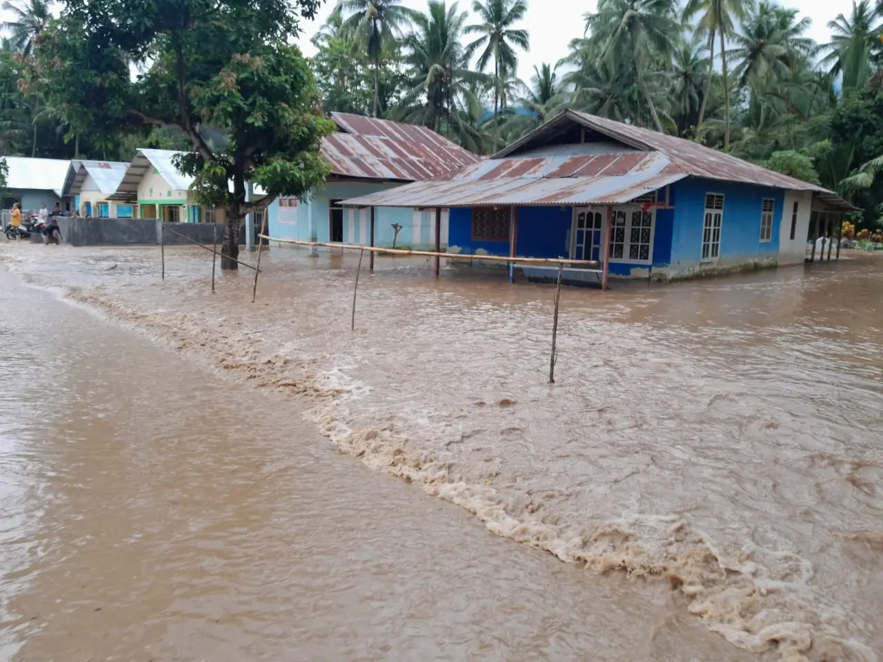 Perkembangan Situasi dan Penanganan Bencana Tanggal 12 April 2025